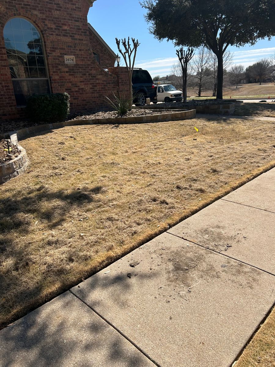 Dethatching for North Texas Groundscaping in Frisco, TX