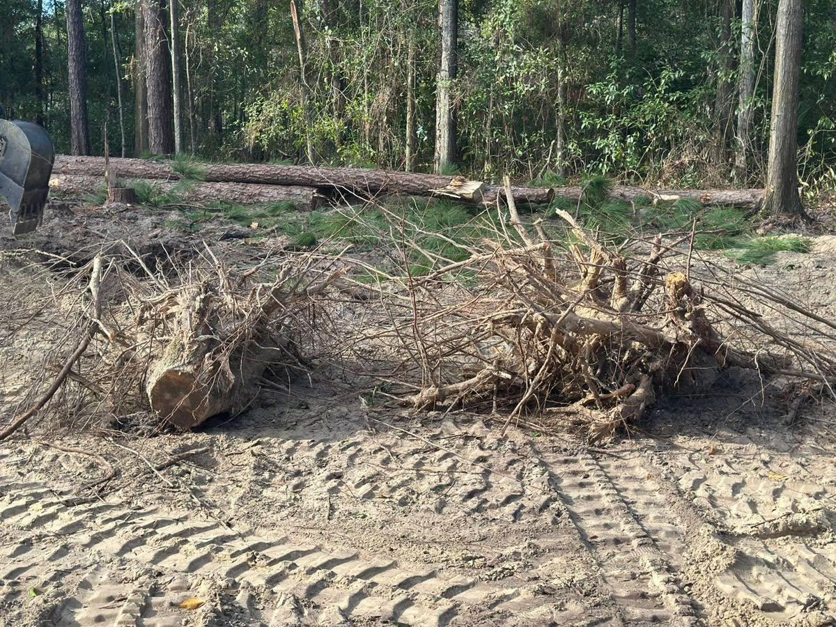 Spring and Fall Clean Up for K & A Landscaping, Inc. in Jacksonville, FL