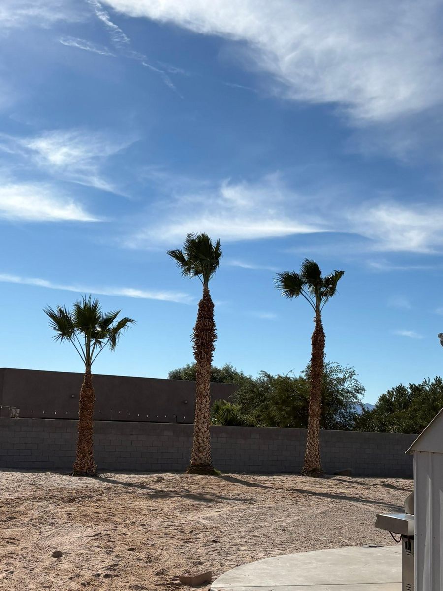 Landscape Design for Top Notch Landscape Services LLC in Mohave Valley, AZ