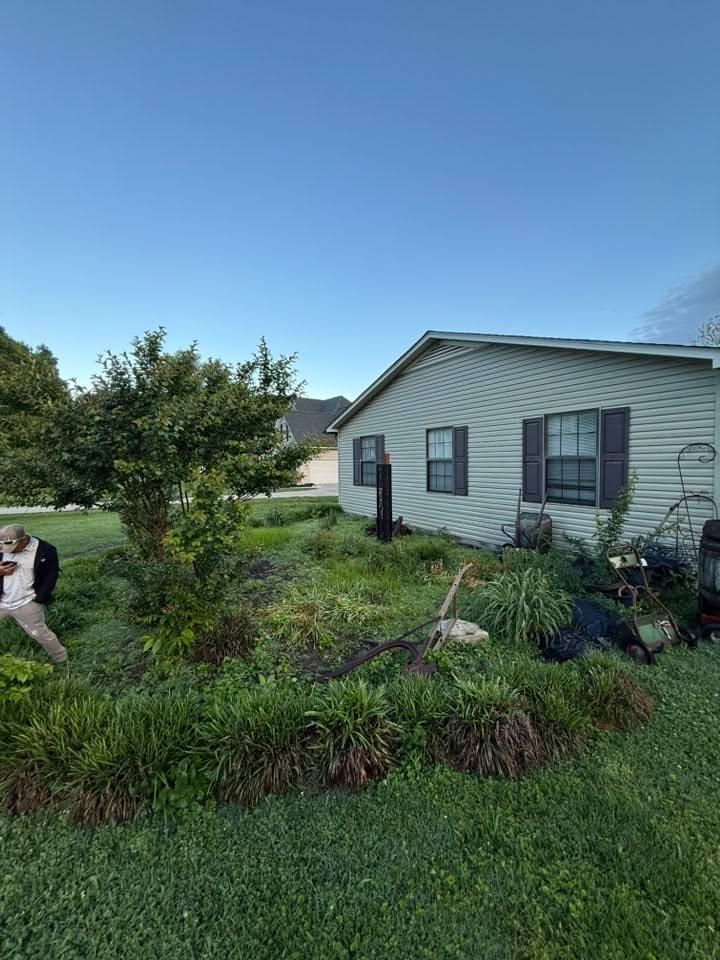 Tree trimming for Wesleys Landscaping in Clinton, TN