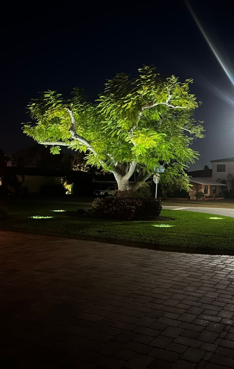 Landscape Lighting for Luxury Outdoor Lighting in Venice, FL