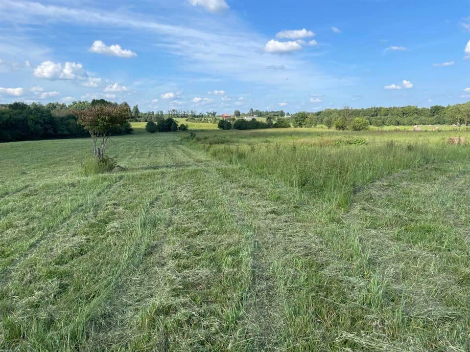  Edging and Pruning for Great American Landworks  in Morrison, TN