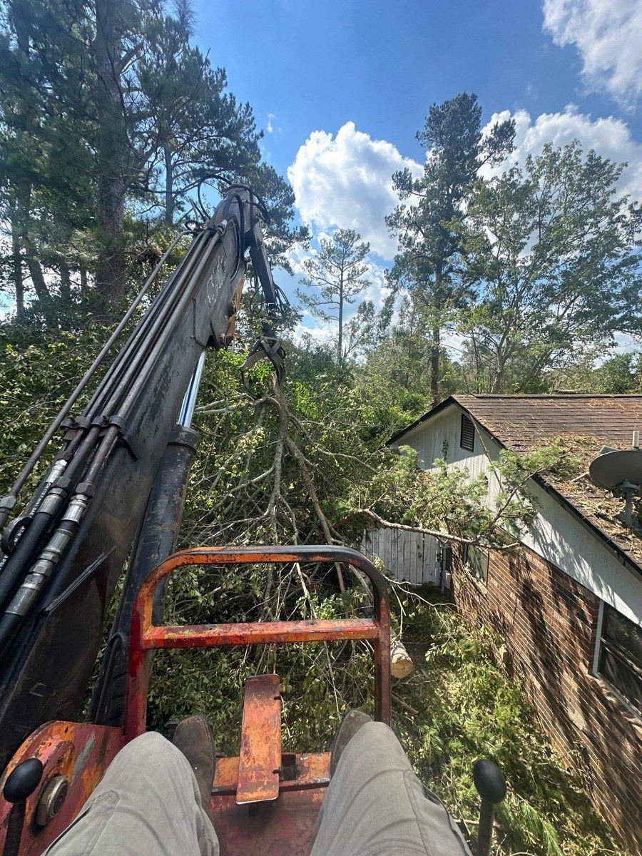 Emergency Tree Service for Bulldawg Disaster Response in Atlanta, GA