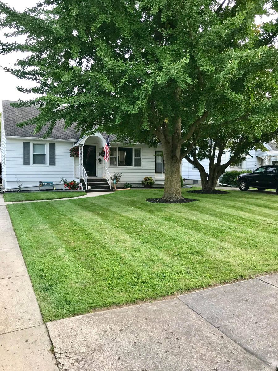 Lawn Mowing for Tingley's Green Land Services in Springfield, Ohio