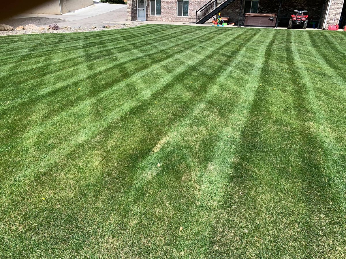 Mowing for Platinum Lawn Service in Santaquin, UT