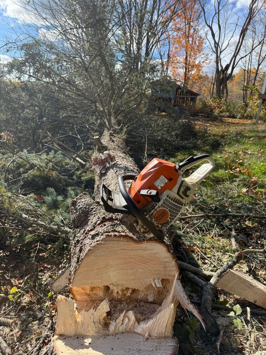Shrub Trimming & Tree work for CWB Lawn Care & Landscaping in Franklin County, ME