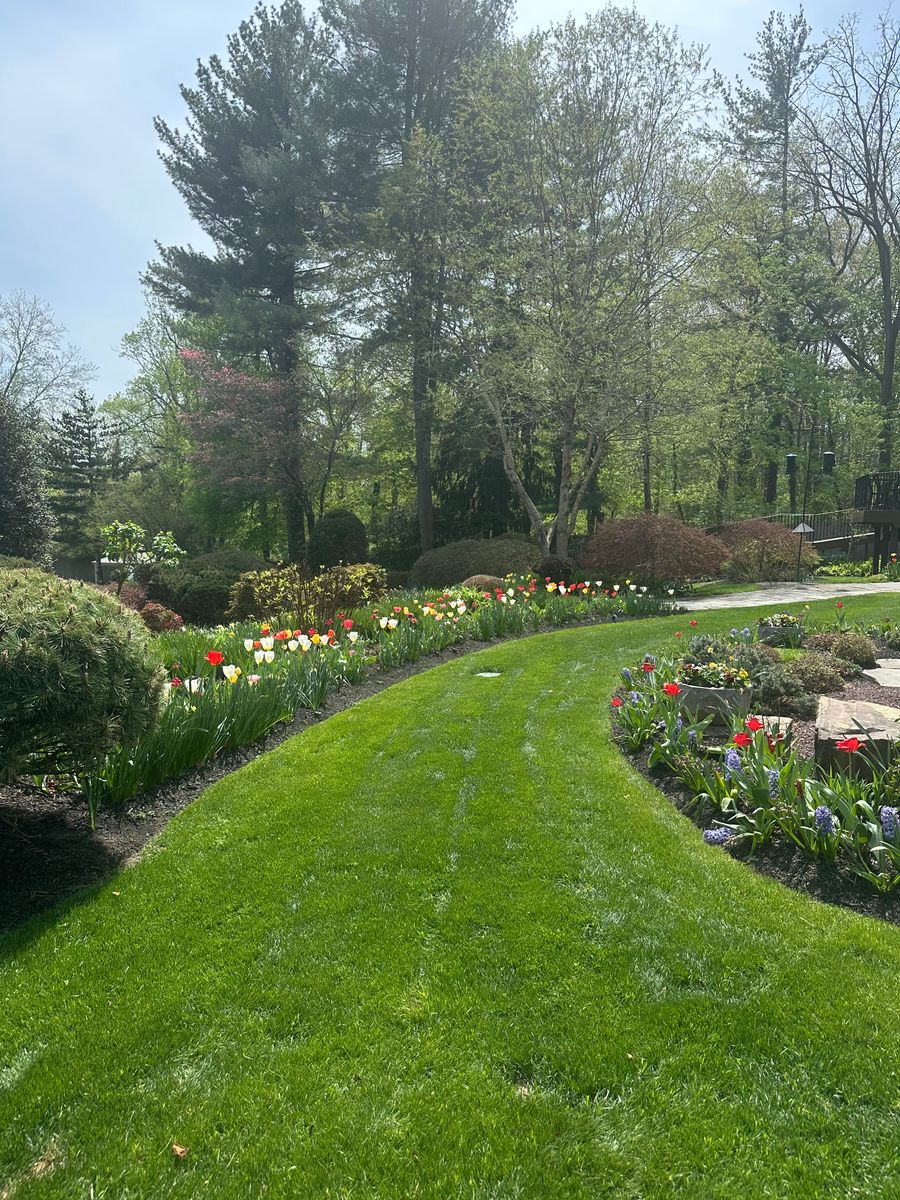 Landscape Design for Green Way Landscape and Building Maintenance in Princeton, NJ