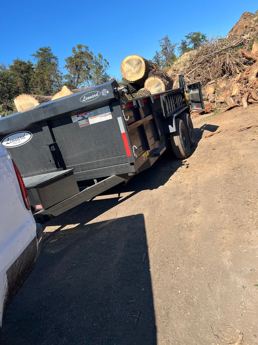 Spring / Fall Clean Up for Ridgewood Lawn Care LLC in Fredericksburg, VA