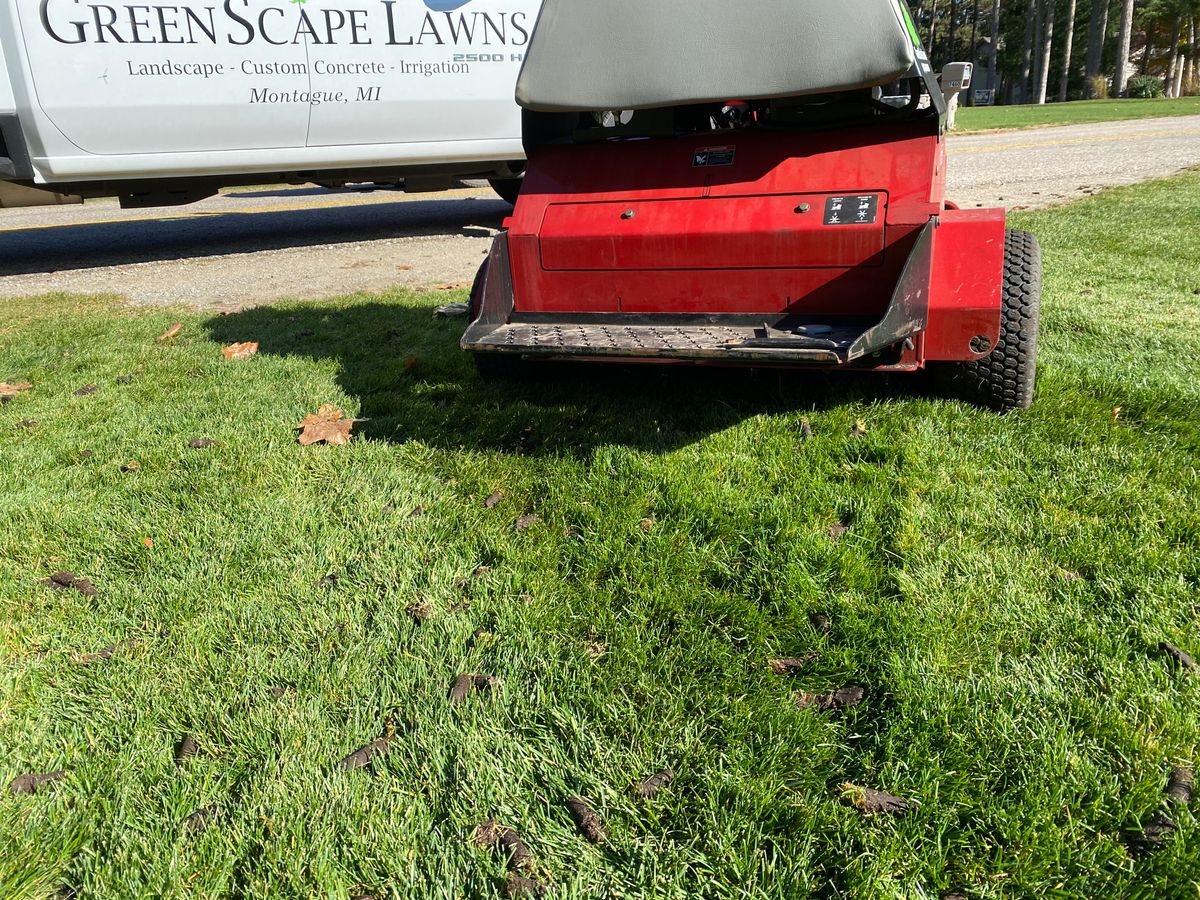 Lawn Aeration for Greenscape Lawns in Montague, MI