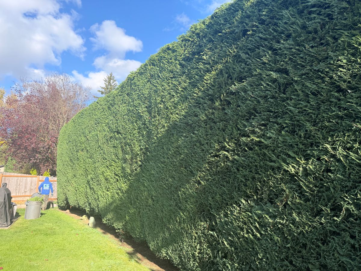 Commercial Property Maintenance for Churape And Son's Landscaping in Vancouver, WA