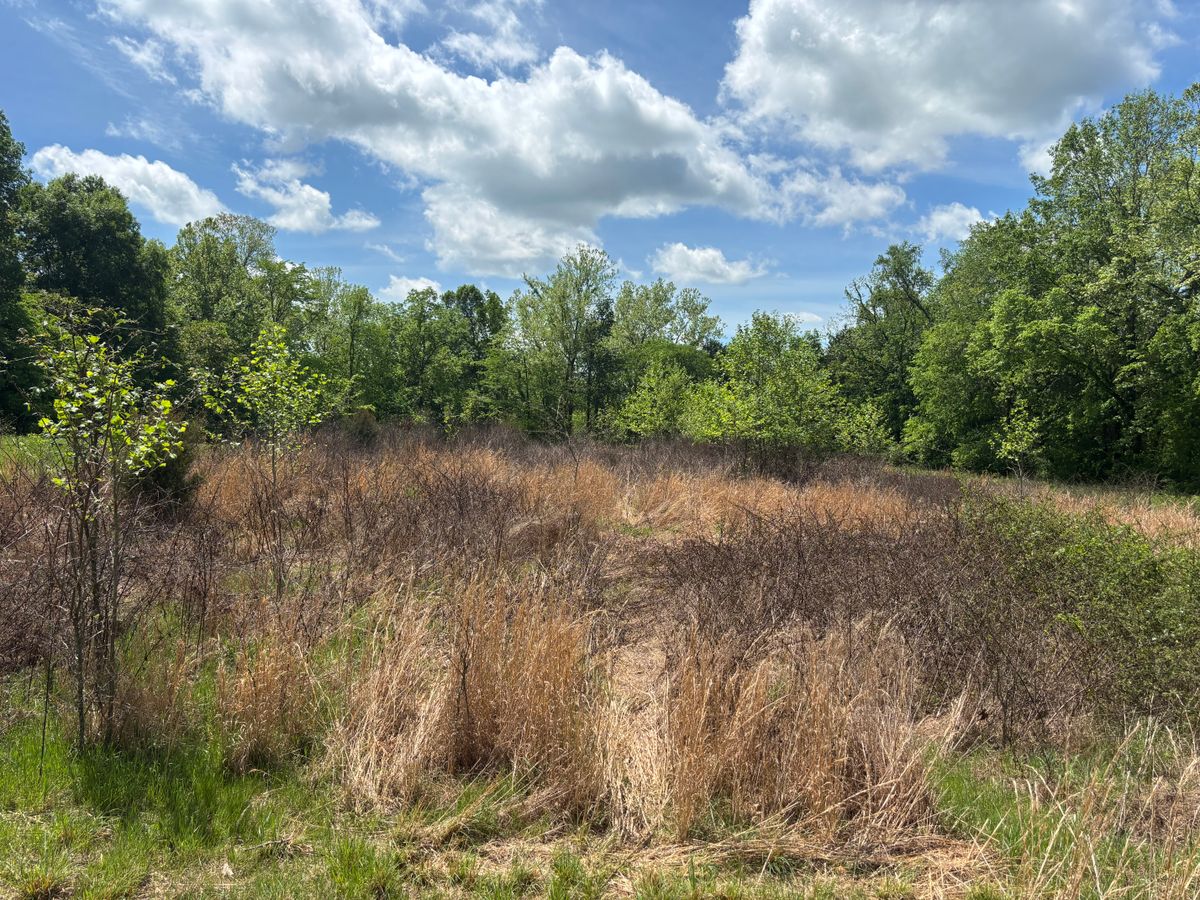 Land Clearing for Gregory Grass and Lawn in Lafayette, TN