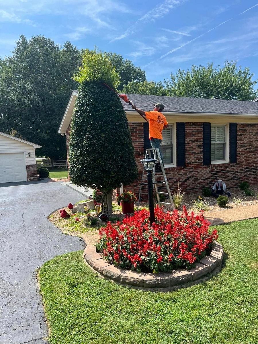 Tree Trimming for Elrod’s Lawn Care and Landscape in Portland, TN