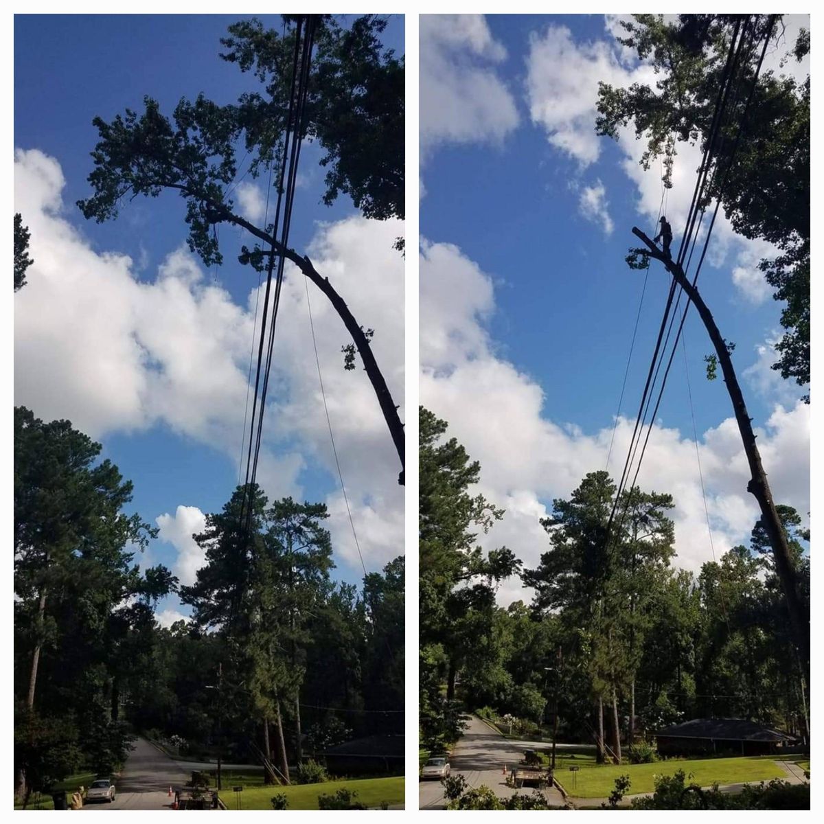 24/7 Emergency Services for Trees Unlimited of the CSRA in Augusta, GA