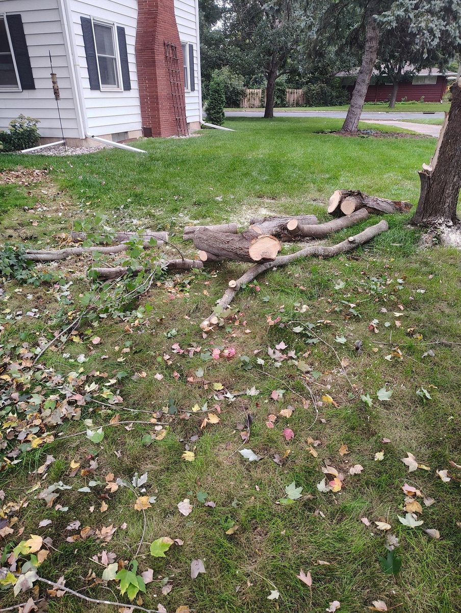 Shrub Trimming for Big River lawn Care services and snow LLC in Wausau, WI
