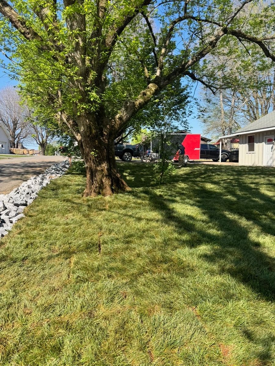 Turf Solutions for MountainScapes in Vonore, TN