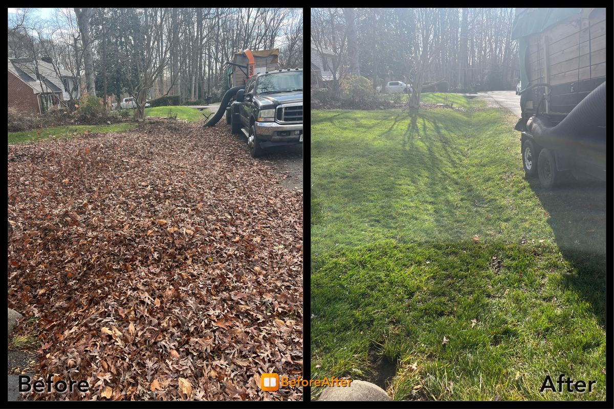 Fall Clean Up for Atlas Home Services in Mechanicsville, VA