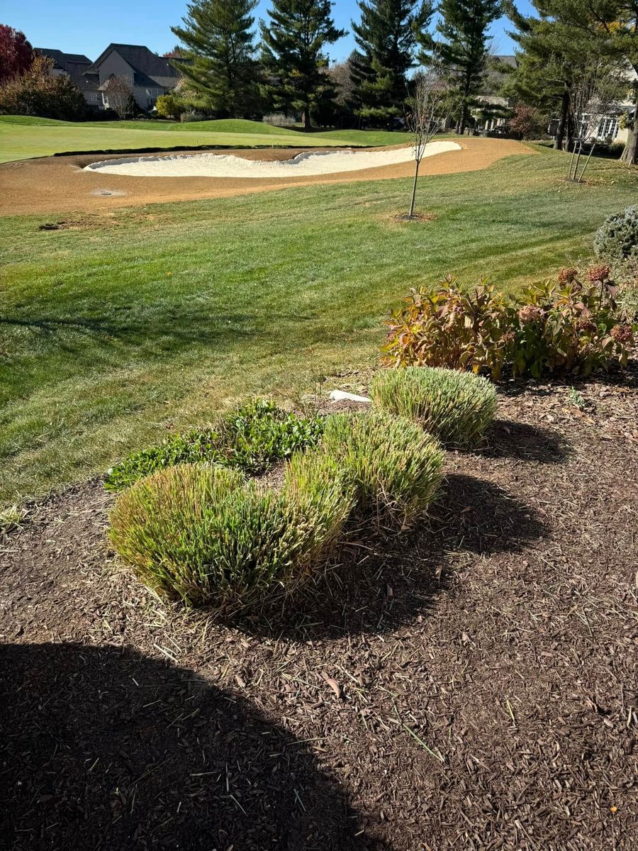 Shrub Trimming for Landscape & Lawn Care Pros in Allentown, PA