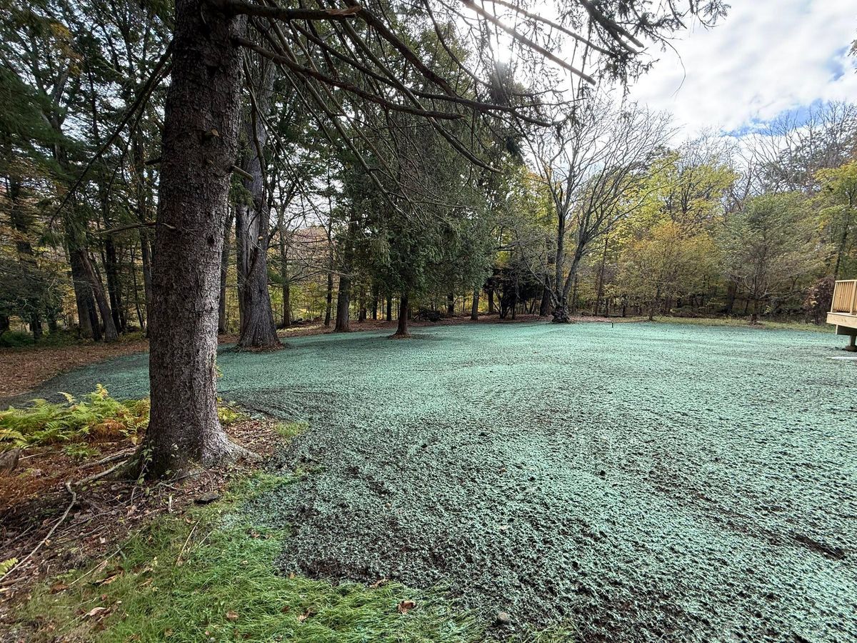 Land Clearing & Yard Expansion for Lennon Land Management in Suffield, CT