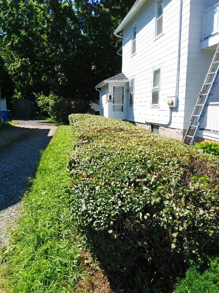 Landscape Installation for Landscape Innovations LLC in Torrington, CT