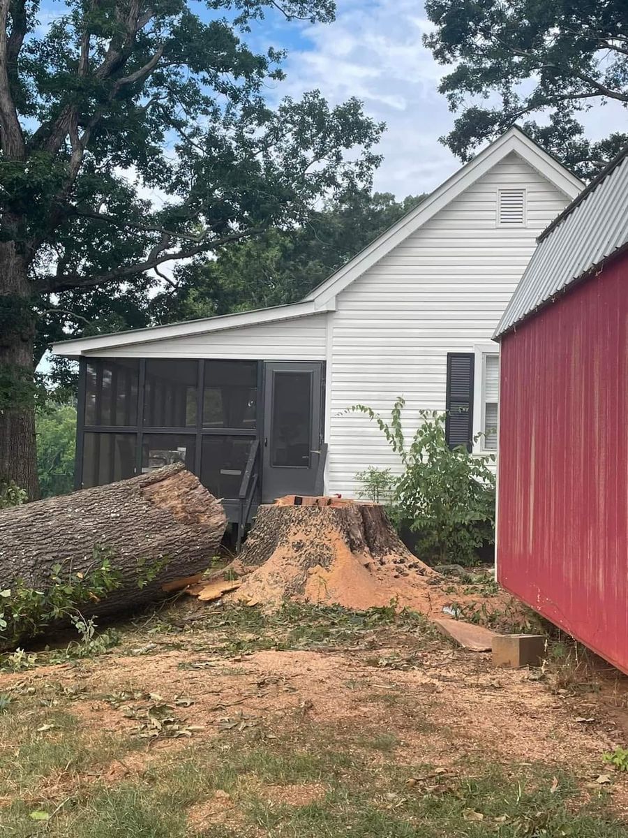Stump Removal for GSG Services in Comer, GA