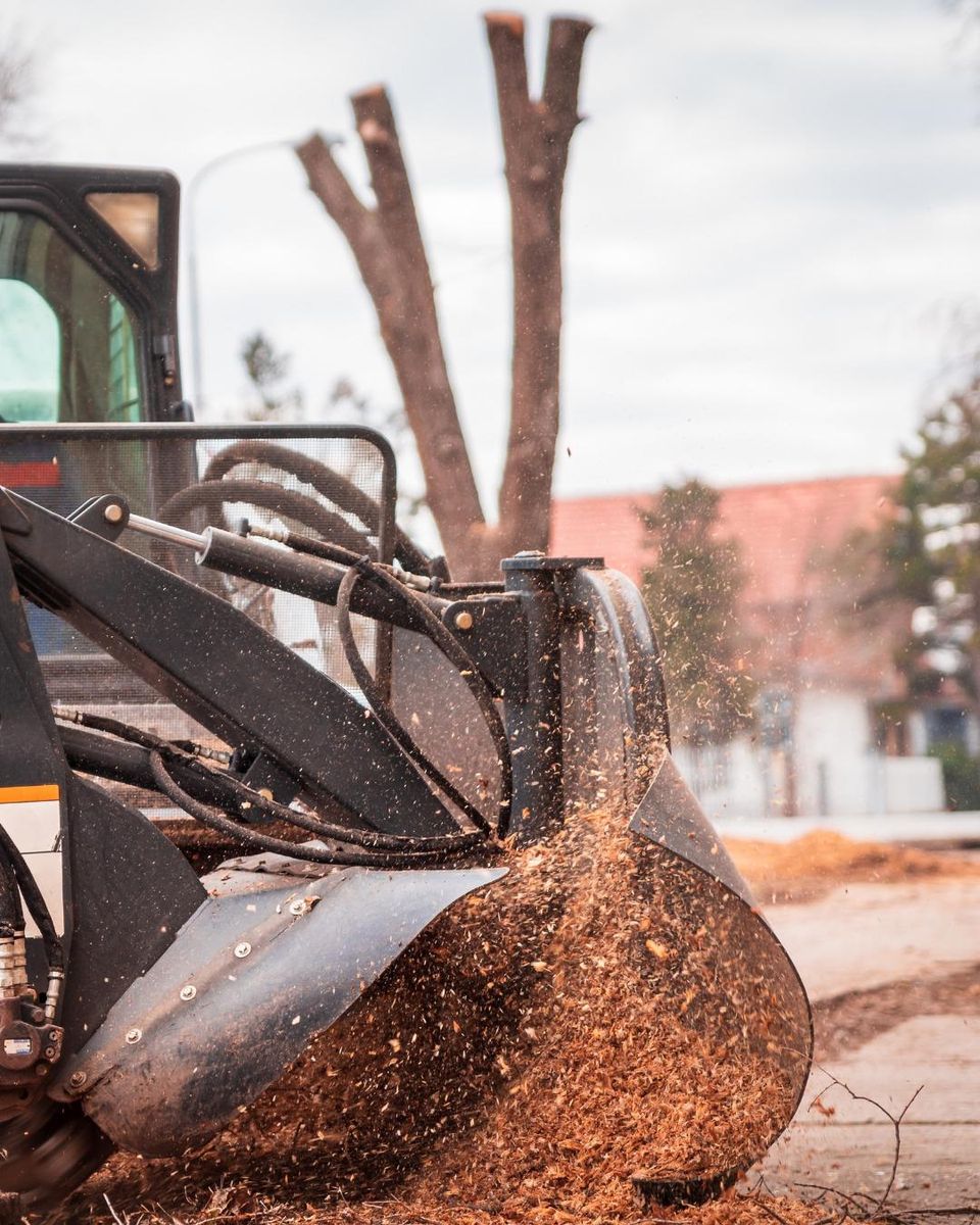 Stump Removal for Oakwood Tree Removal LLC in Oak Creek,  WI