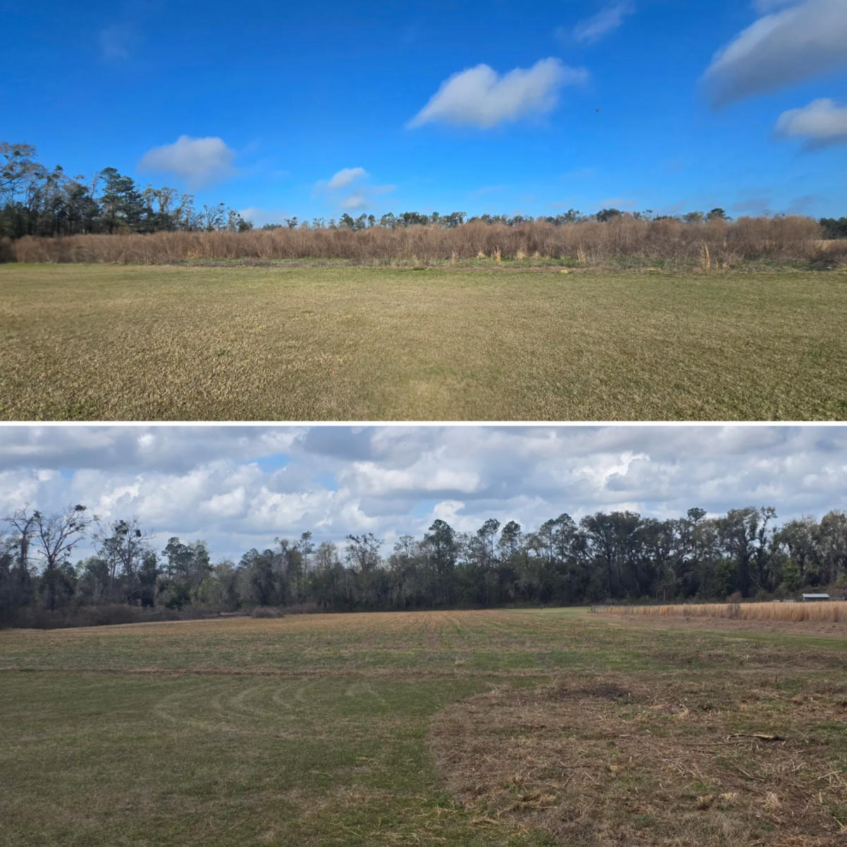 Demolition for Giles Land Management, LLC in Hahira, GA