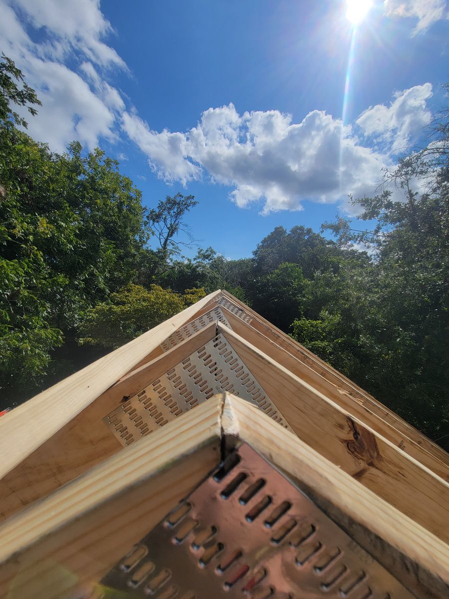 Framing for GVL Renovations in Greenville, SC