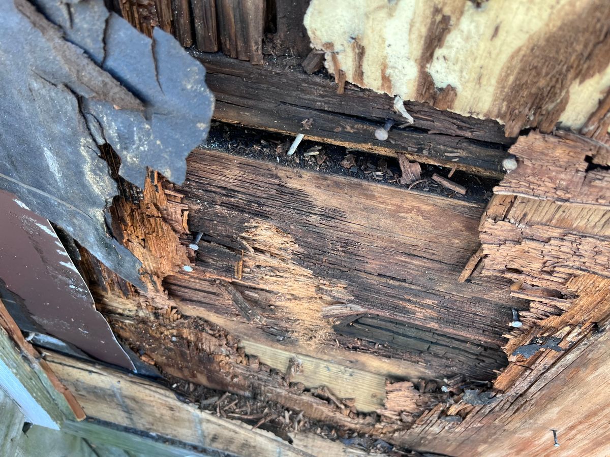 Carpentry for Salt Side Construction in The Outer Banks, NC