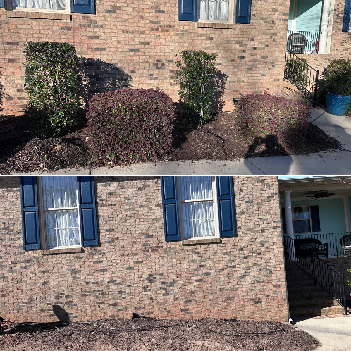Shrub Trimming for S&D Lawn & Landscape LLC in Gilbert, SC