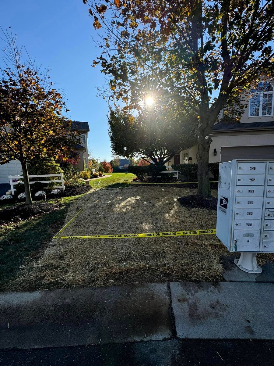 Lawn Maintenance for Landscape & Lawn Care Pros in Allentown, PA