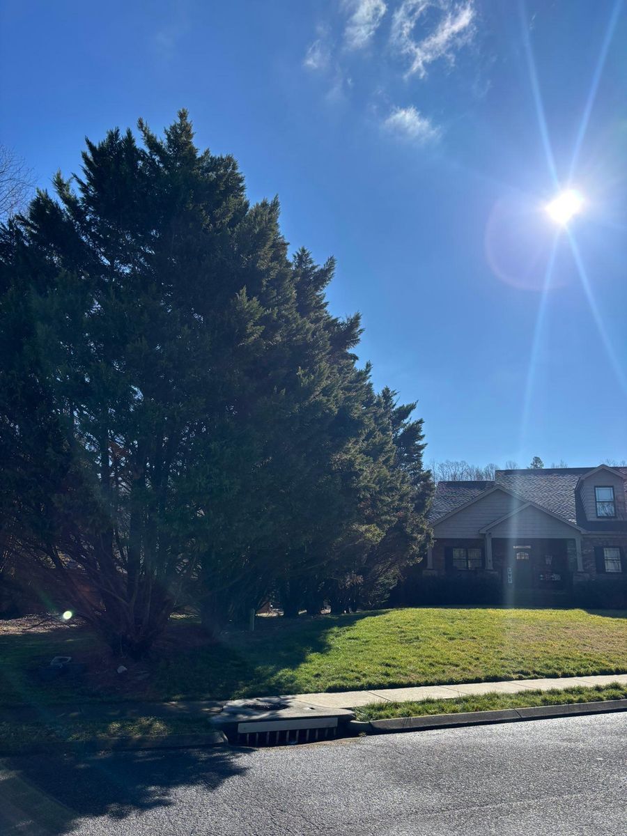 Tree Removal for SEALY TREE and LAWN in Cleveland, TN