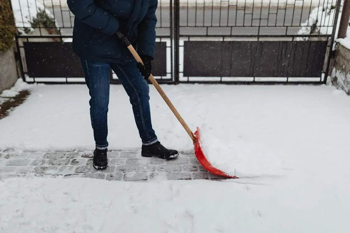 Driveway Snow Removal for Bumblebee Lawn Care LLC in Albany, New York