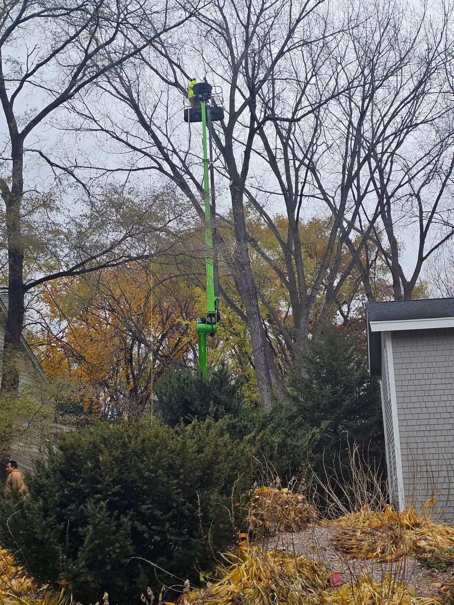 Commercial Tree Removal Service for Minnesota Seasonal in Corcoran, MN