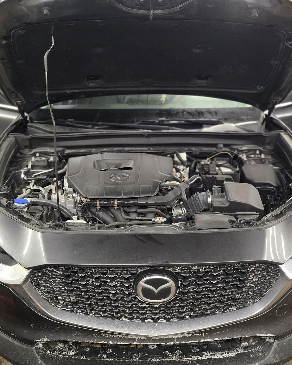 Full Detail Service for Luxury Auto Detail in Peoria, IL