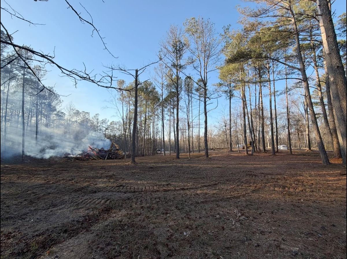 Forestry Mulching for Collins Constructors in Fyffe, AL