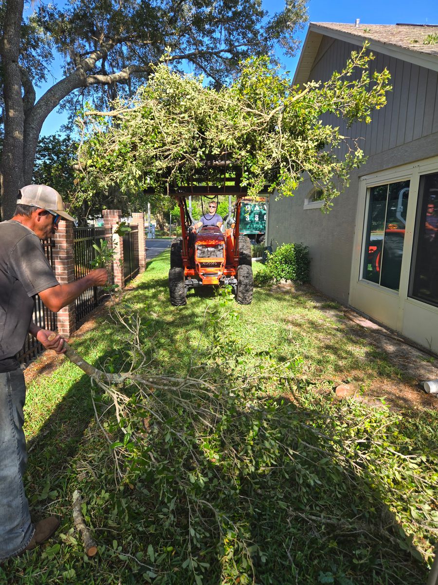 Storm Debris Removal for Near Me Tree Service, Inc. in DeLand, FL
