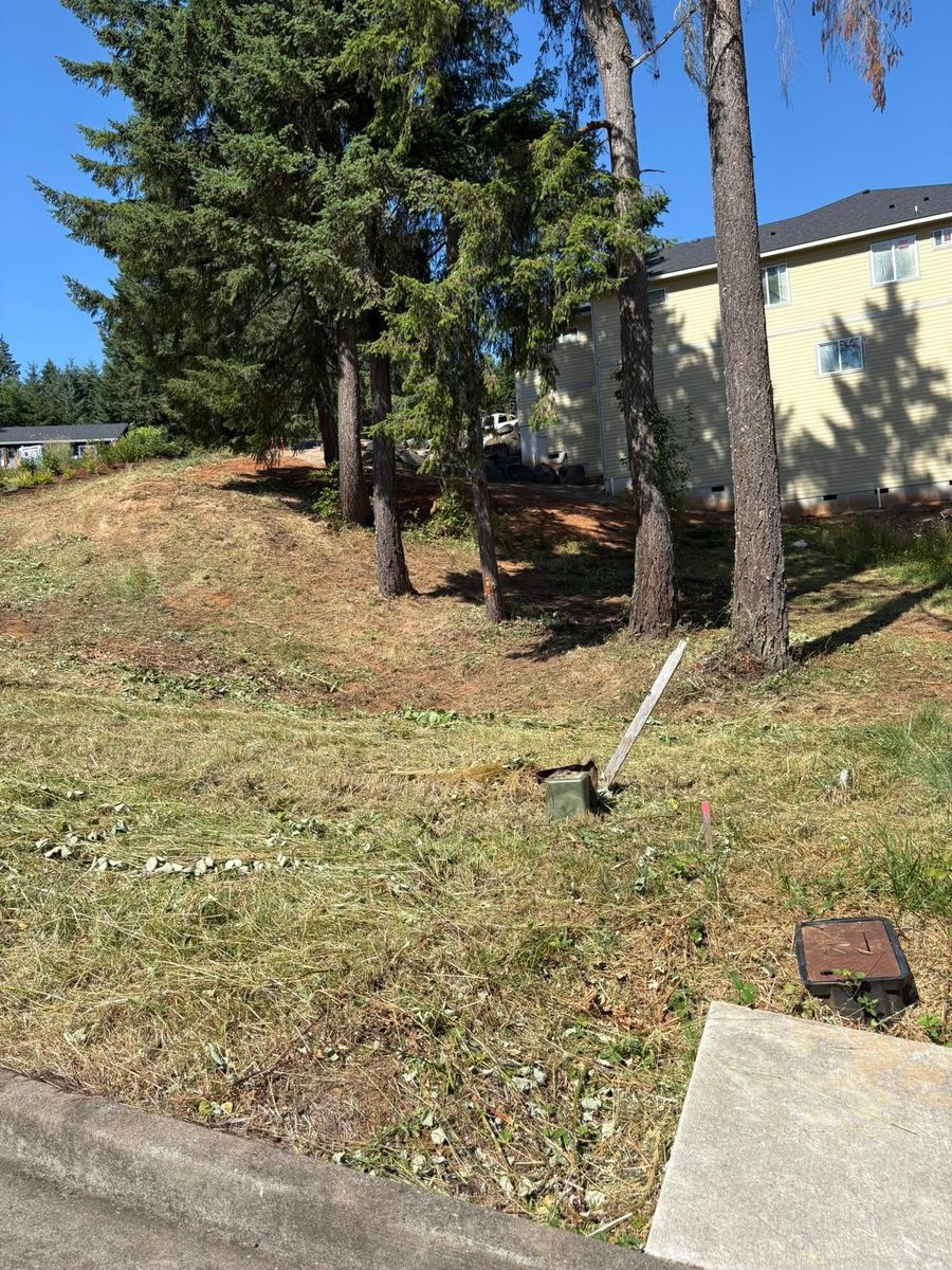 Land Grading for Limitless Excavation & Land Clearing in Eugene, OR