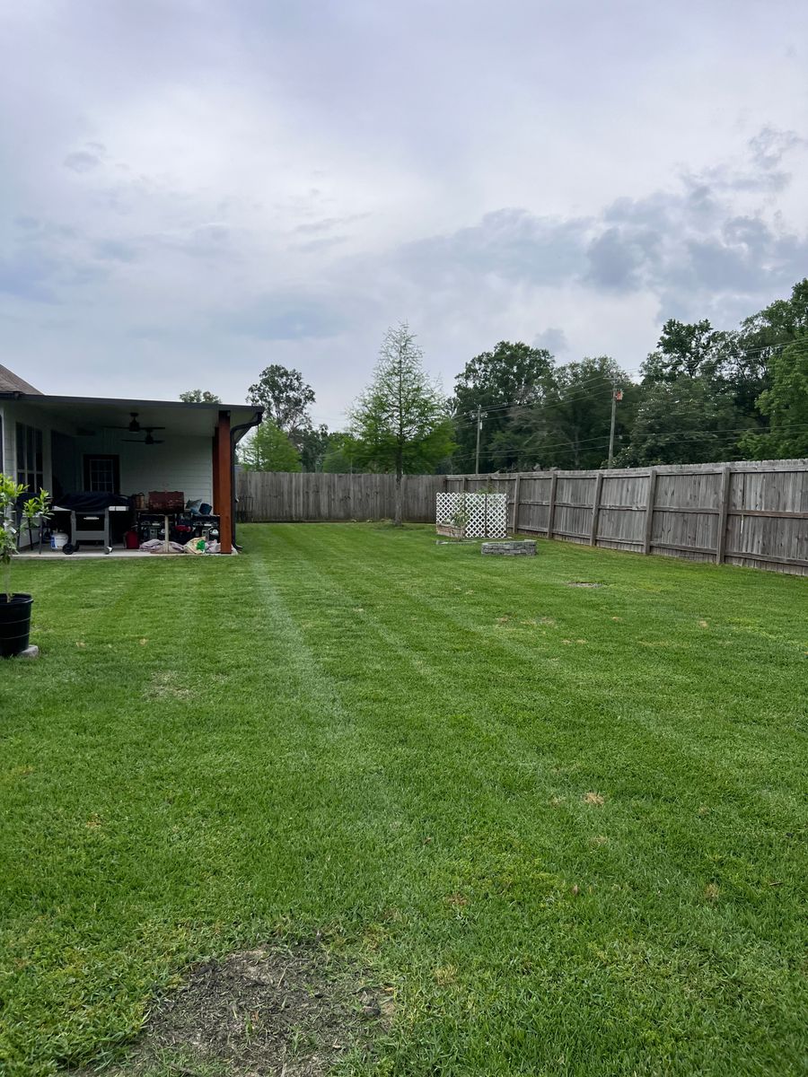 Mowing for Lawn Rangers in Baton Rouge,  LA