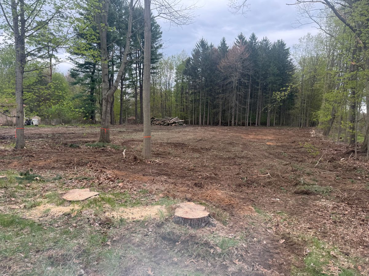Site Preparation and Clearing for Lovenguth Logging and Tree Service in West Monroe, NY