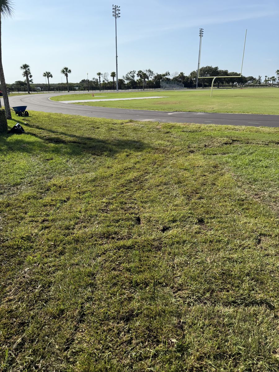 Sod Install for C4 Ground Control in Orlando, FL