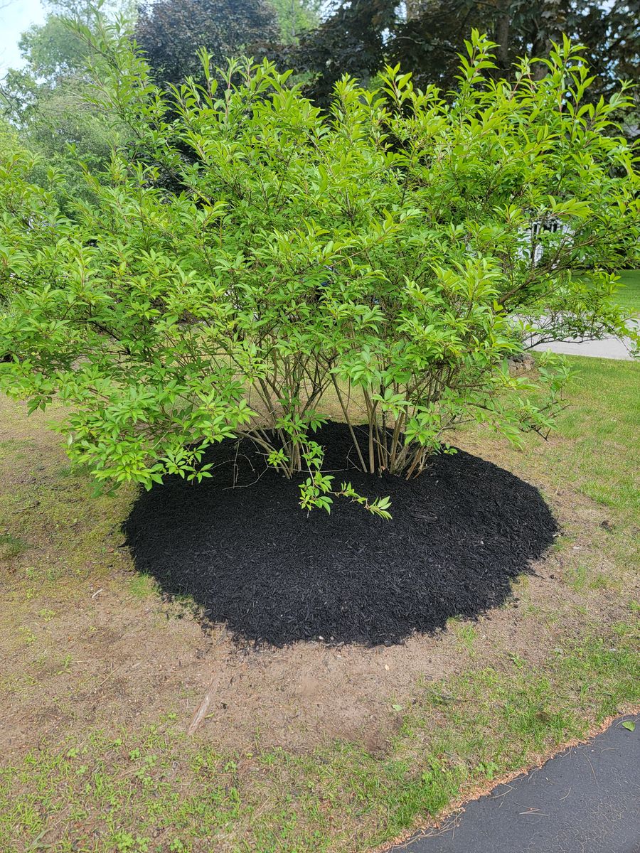 Mulch Installation for Sweet Scapes in Ballston Spa, NY