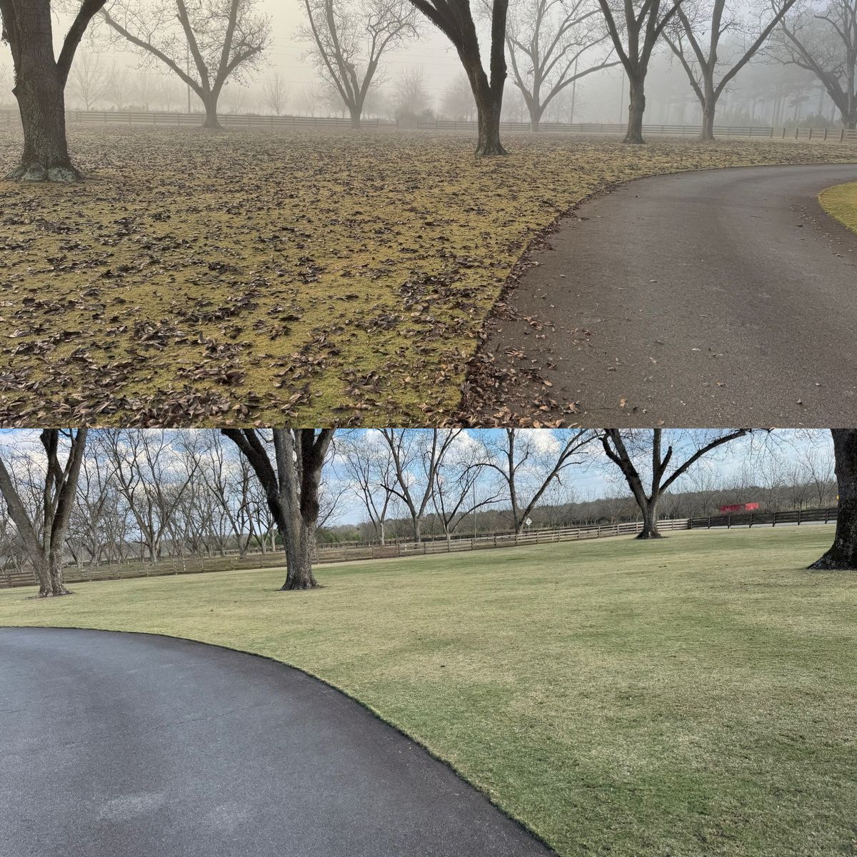 Turf, Ornamental, and Irrigation for Camalett Services in Perry, GA