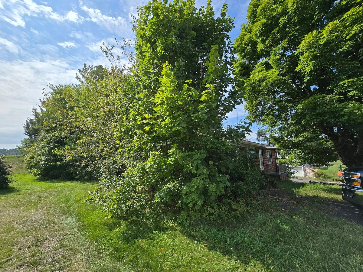 Property clean up for M&L Lumber and Excavating in Jonesborough, TN