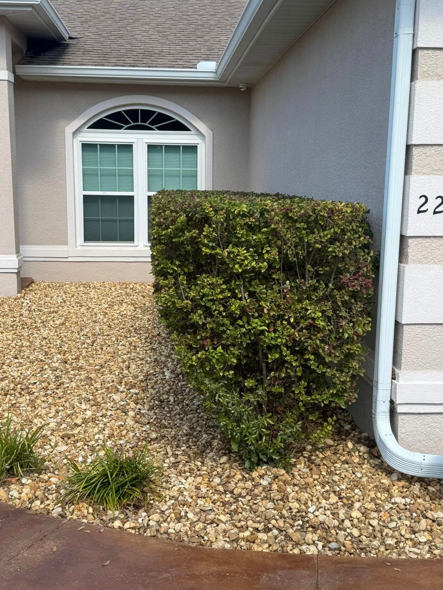 Weed Control for Young's Lawn Services LLC in Ocala, FL
