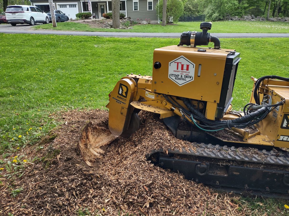 Residential / Commercial Tree Services for TH Property Service, LLC in Manlius, NY