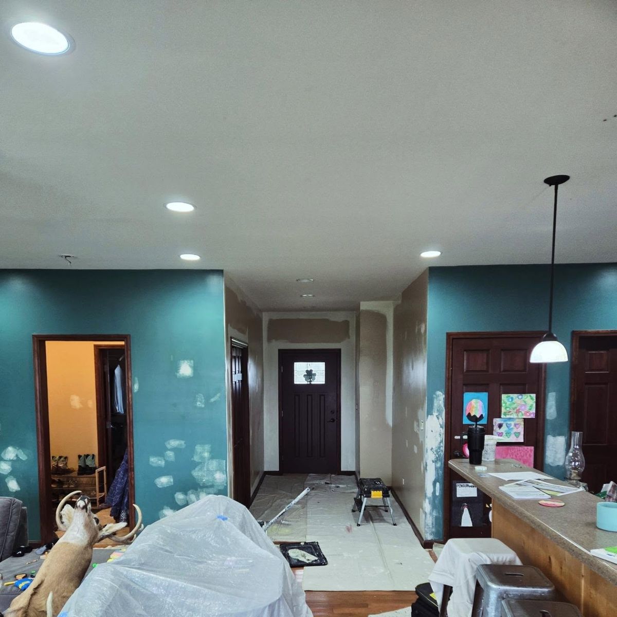 Drywall Repair for Mike Paints in Peoria, IL