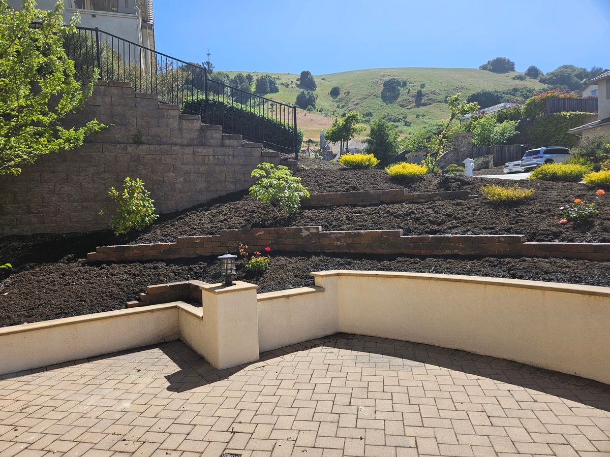 Horticultural Design for Martin Stanko Landscape Construction in Livermore, CA