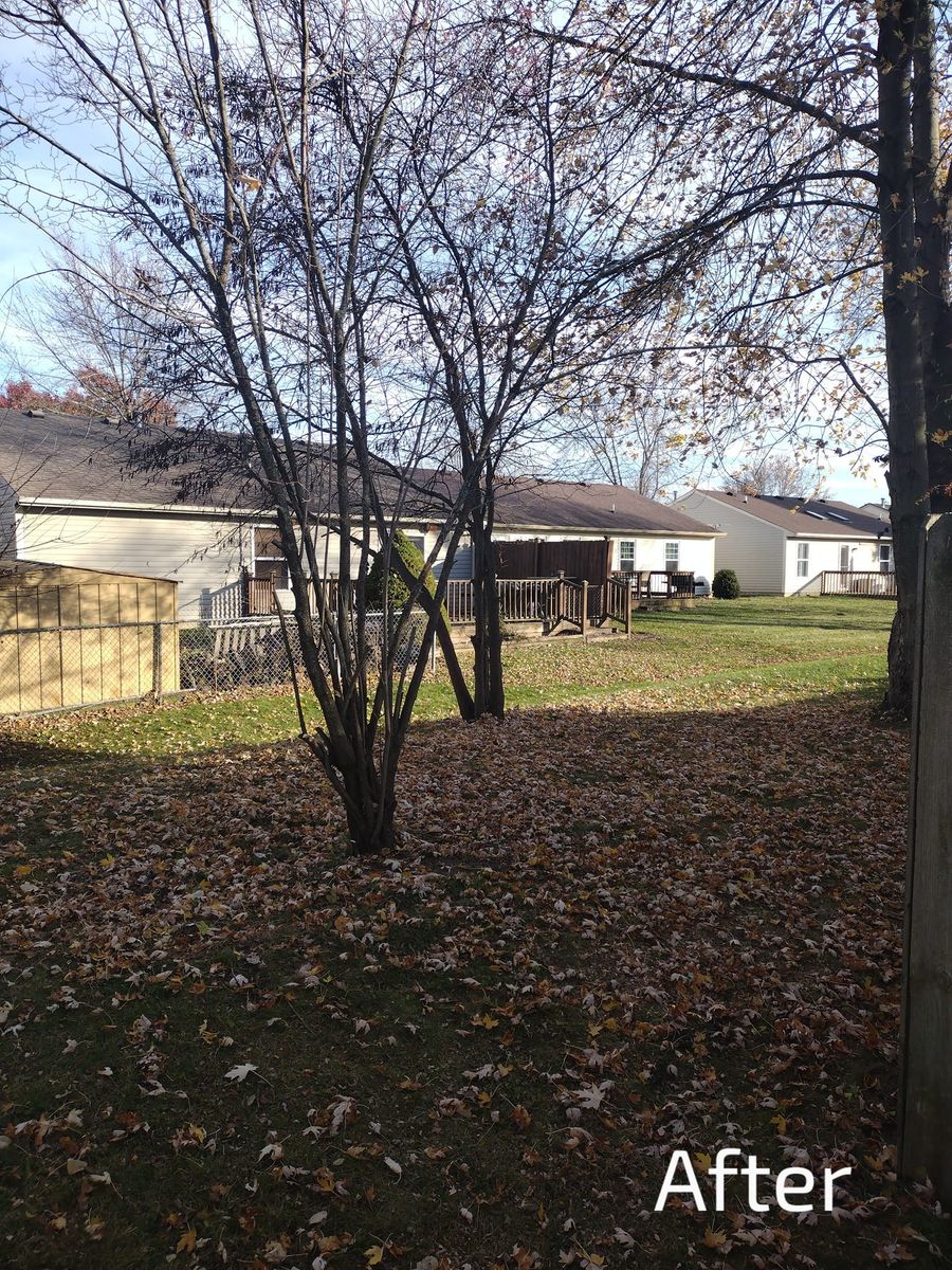 Fall and Spring Clean Up for Bearforce Lawn Care LLC in Greenfield, IN