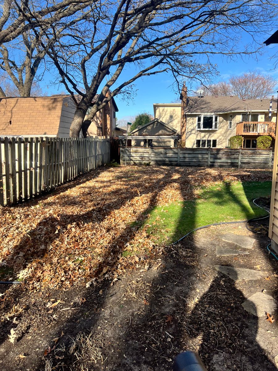 Yard Clean Up for Luke's Lawn Care and Landscape in Andover, MN