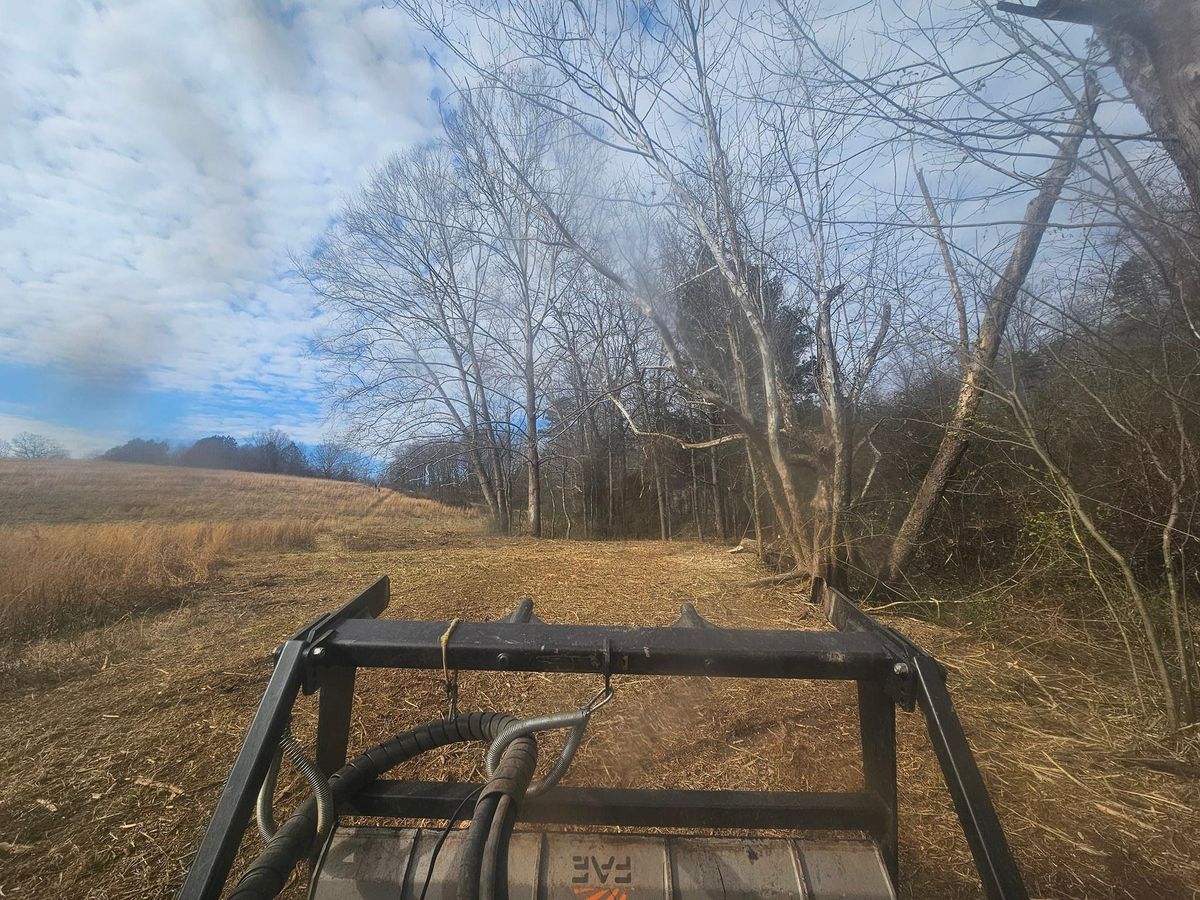 Site Preparation for O'Connor Clearing and Hauling LLC in Anderson County, SC